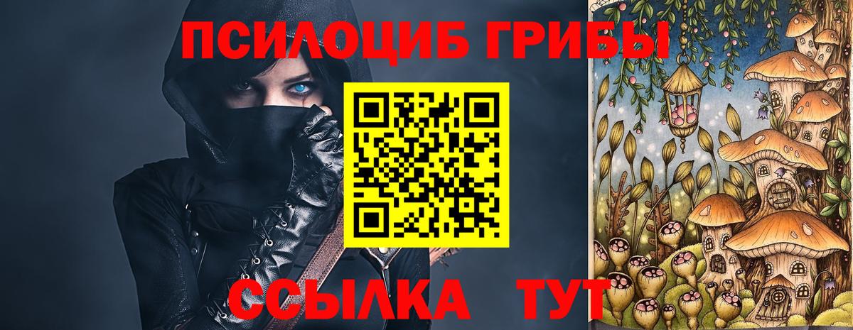 Галлюциногенные грибы прущие грибы Усолье-Сибирское